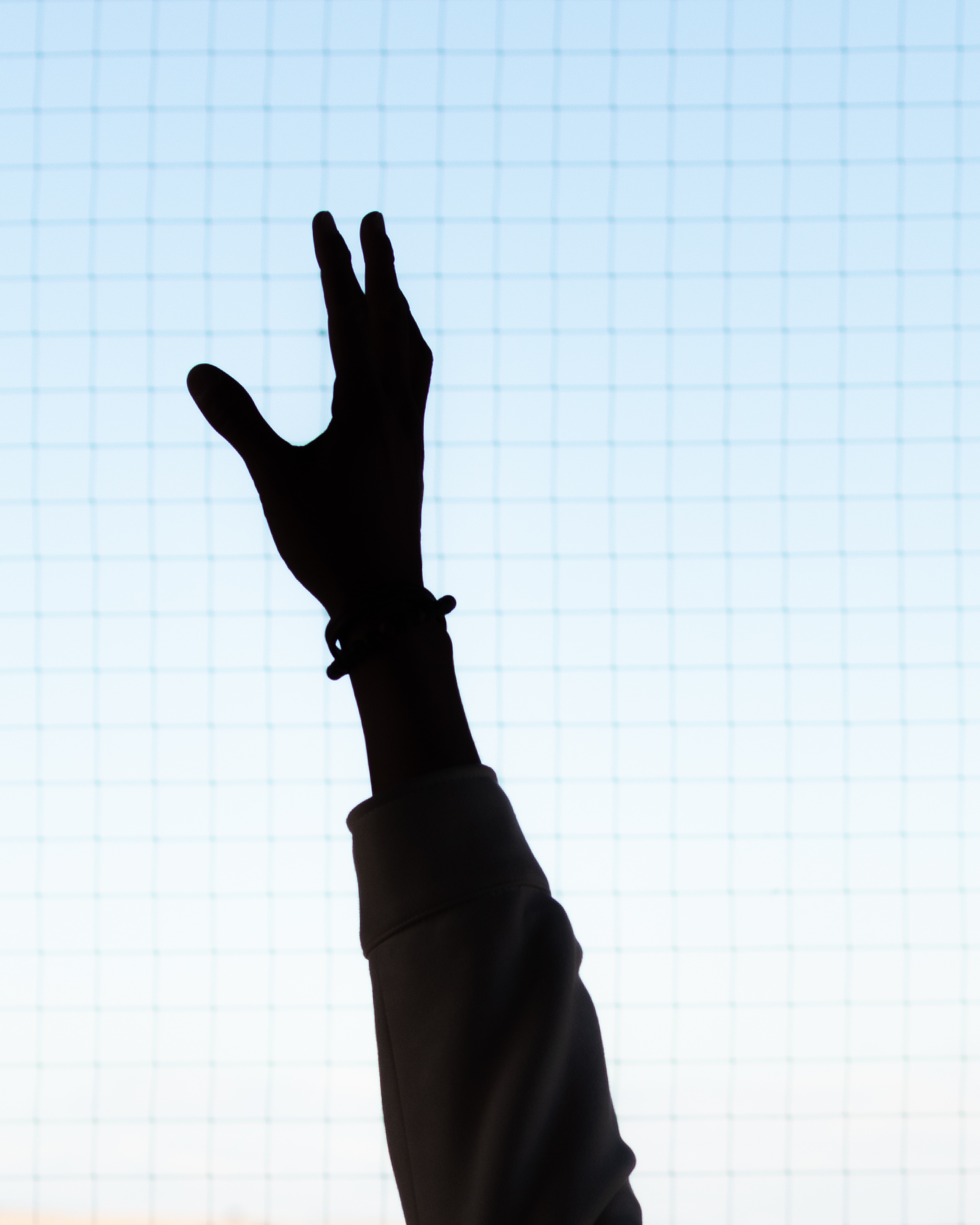 toledo_hands